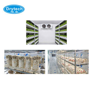 Sistema de Cultivo Hidropónico en Contenedor para Azafrán, Caja de Cultivo para Venta - Product Image 5