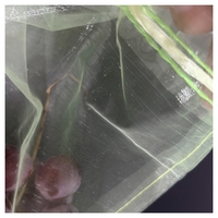 Organza Fruitbomen Mesh Zakken Voor Bescherming Voor Druiven Guave Dragon Fruit Mango