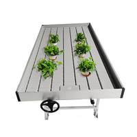 Agriculture lit de semence pour plantes d'intérieur plateau roulant de culture hydroponique personnalisé tables de jardin pour plantes