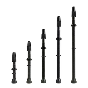 MTB xe đạp đường ống không săm van 40/60/80/100/120mm Đồng Presta núm vú có thể tháo rời lõi không khí Van Xe Đạp không săm van - Product Image 1