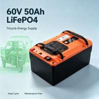 Batterie au lithium fer phosphate 64V 50Ah LiFePO4 à décharge profonde, sortie stable, sûre, haute décharge, rechargeable pour bateau électrique