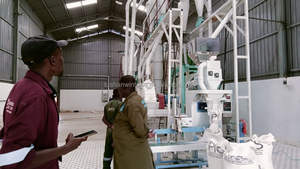 Máquina <span class=keywords><strong>de</strong></span> molienda <span class=keywords><strong>de</strong></span> maíz <span class=keywords><strong>de</strong></span> granja industrial Máquina <span class=keywords><strong>de</strong></span> molienda <span class=keywords><strong>de</strong></span> <span class=keywords><strong>harina</strong></span> <span class=keywords><strong>de</strong></span> maíz con trituradora <span class=keywords><strong>de</strong></span> martillo Tipo <span class=keywords><strong>de</strong></span> producto <span class=keywords><strong>de</strong></span> alta eficiencia Molino <span class=keywords><strong>de</strong></span> <span class=keywords><strong>harina</strong></span> - Product Image 5