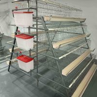 Cage à poulets haute densité, système de cages en batterie de type A pour poules pondeuses
