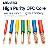 2,5mm BV Elektrokabel 99,99% Sauerstofffreies Kupfer PVC-Isoliertes Kabel IP20 für Niederspannungs-Stromverteilung im Gebäudebereich