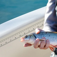 Autocollants transparents pour mesurer les poissons, ruban adhésif de mesure pour poissons, ruban adhésif imperméable à double échelle pour la pêche, le bateau