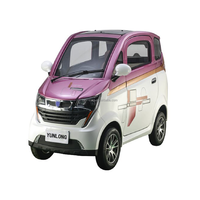 Voiture électrique miniature à faible vitesse homologuée EEC L6E chinoise, 2 places, sans permis de conduire, vitesse de 25 km/h pour adultes