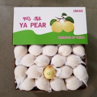 Baies fraîche en plastique transparent, fruits, livraison gratuite