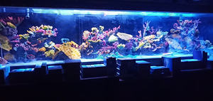 Aangepaste Grote Ultra Helder Glas <span class=keywords><strong>Aquarium</strong></span> <span class=keywords><strong>Aquarium</strong></span> <span class=keywords><strong>Aquarium</strong></span> <span class=keywords><strong>Aquarium</strong></span> Tank Vis 500 Gallon Groot <span class=keywords><strong>Aquarium</strong></span> Glas - Product Image 5