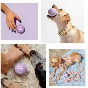 Wholesale Custom Logo Chew Rubber Exercise Training Interactive Pet <b>Ball</b> Throwing Small Tennis <b>Dog</b> <b>Ball</b> Toy With logo for <b>Dogs</b> - Product Image 5