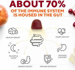 Gommes prébiotiques de haute qualité pour enfants, santé digestive, sans sucre, soutien immunitaire, probiotiques pour enfants - Product Image 3