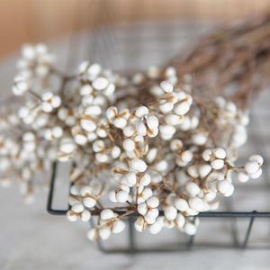 ดอกไม้แห้งธรรมชาติผลเบอร์รี่ Excoecaria แจกันฟิลเลอร์ดอกไม้โต๊ะรับประทานอาหารกลางตกแต่งแปะก๊วยขนาดเล็ก - Product Image 6