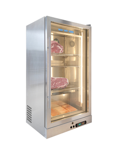 Factory hot selling Meat Machine Small Steak Fridge Home Cabinet Dry Aging Refrigerator meat blast freezer