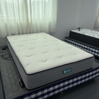 Kasur Elektrik Modern Mewah yang Dapat Disesuaikan dengan Fitur Pemanas & Tahan Lama, Kontrol Cerdas untuk Kamar Tidur Hotel, Sekolah, Rumah Sakit
