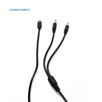 Câble séparateur d'alimentation 3a USB C PD 2 en 1 Type C mâle vers cc 5.5x2.1mm mâle câble de chargeur PD