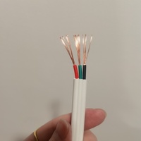 TPS Elektrisches Flachkabel mit zwei Leitern und Erdung, SAA-zertifiziert, 2,5mm² 4mm² Kupferleiter für den australischen Markt