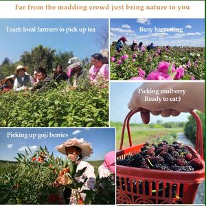 卸売は遅くまで起きます | クリアな内部熱 | 痩身 | 子宮ハーブティー伝統的な中国医学混合乾燥ハーブコンボ - Product Image 3