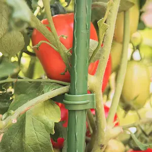 Cage de Support de Plante Grimpante Anneaux Réglables Treillis de Jardin Cage de Tomate pour Plante Support de Fleur