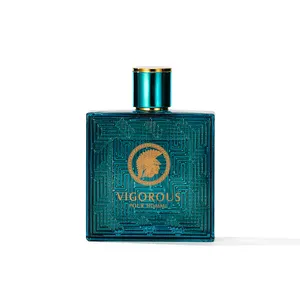 Parfums pour hommes VIGOROUS de marque originale Lovali parfum boisé pour hommes parfums pour hommes de longue durée