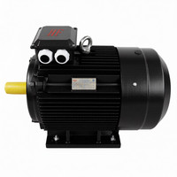 Moteur à courant alternatif triphasé haute efficacité IE4 à cage d'écureuil YE4-315L2-4 200KW 270HP, protection IP55, antidéflagrant, montage sur pied, 50Hz