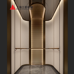 Ascenseur à commande AC à prix abordable avec décoration gravée miroir pour maison, villa, hôtel – Ascenseurs à prix compétitif - Product Image 6