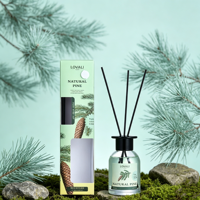 Vente en gros d'assainisseurs d'air liquides écologiques, naturels, durables, luxueux, modernes, apaisants, parfumés, 130 ml, pour femmes