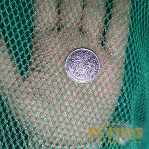 <span class=keywords><strong>2025</strong></span> Trung Quốc nhà máy HDPE vải polyethylene lưới bảo vệ AO Trung Quốc đánh cá <span class=keywords><strong>NET</strong></span> Giá - Product Image 3