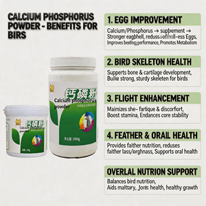 <span class=keywords><strong>Versailles</strong></span> Poudre <span class=keywords><strong>de</strong></span> Calcium Bio Hydrosoluble pour Oiseaux, Pigeons et Perroquets 500g OEM/ODM - Product Image 2