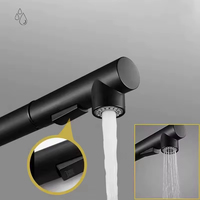 Robinet de cuisine moderne en acier inoxydable brossé avec douchette extractible, rotation à 360 degrés, poignée unique, valve en céramique, montage sur plan.