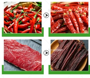 Máquina Deshidratadora de Alimentos de Gran Capacidad para Verduras, Frutas y Carne, Deshidratador Industrial por Congelación, Uso Comercial, 15W de Potencia, 1 Año de Garantía - Product Image 5