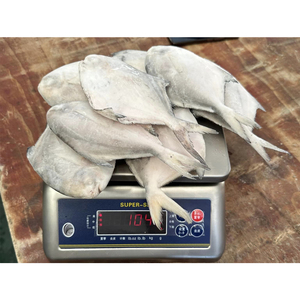Poisson Pomfret Argenté Blanc <span class=keywords><strong>Prix</strong></span> Poisson Pompano Congelé Pomfrets Argentés Congelés - Product Image 5