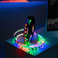 Rubans Lumineux LED à Couleurs Rêves Magiques Programmables Adressables RGB RGBW Pixel 5V 12V 24V SK6812 WS2811 WS2812B WS2815