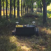 Cortadora de Césped Automática Profesional con Motor para Mantenimiento de Jardines Comerciales