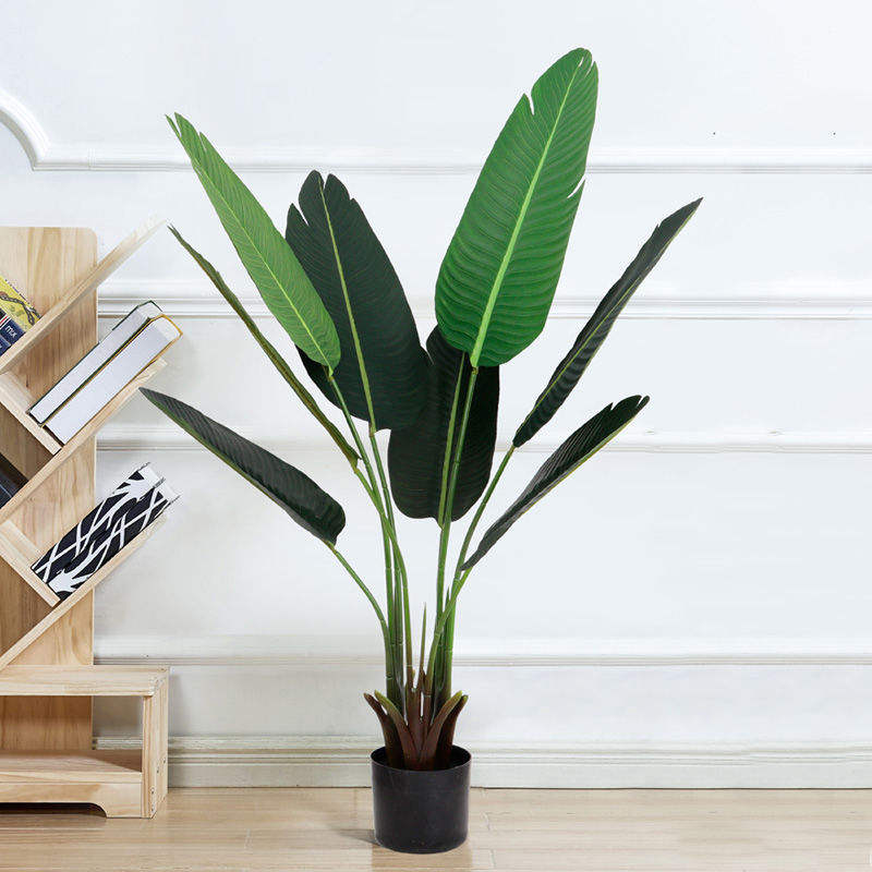 120 bananes Traveler (prix spécial)