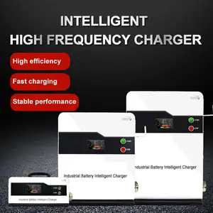 Intelligent Automatic Repair Quick Charger 48V 6kw 10kw 18kw 20KW 30kw EV Car Forklift Truck Battery Charger