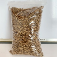 Vers de farine séchés 100 % naturels en vrac, riches en protéines, aliments pour animaux avec vitamines et minéraux pour petits animaux, en sac