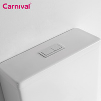 Chaozhou Manufacture Vente en gros Porcelaine Wc Monté au sol Washdown Sanitaire Toilette Cuvette en céramique colorée pour hôtel