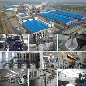 Giá bán buôn cấp thực phẩm chất làm ngọt tự nhiên nhanh chóng hòa tan bột glucose khan cho thể thao dinh dưỡng đồ uống - Product Image 5