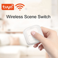 Interruttore a Muro Touch Wireless Smart WiFi 2.4GHz a 2 Canali con Controllo Remoto a Batteria, Compatibile con App Smartlife e Alexa