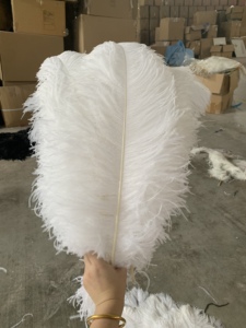 Grandes plumes d'autruche rose vif de 16 pouces pour décoration de centre de table, plumes de carnaval, plumes de corail, plumes noires et blanches pour bricolage, mariage, artisanat et fête - Product Image 3