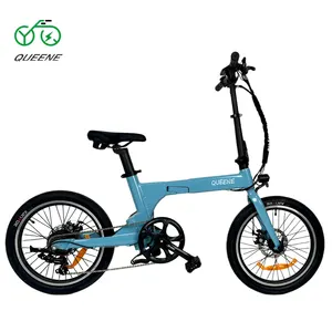 QUEENE Elektro fahrrad Lager 250w 36v 20 Zoll Magnesium legierung Antrieb Elektro-Faltrad Ultraleichtes Lithium-Elektro fahrrad