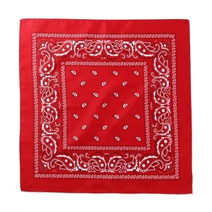 <span class=keywords><strong>Lot</strong></span> en gros de bandanas en coton Paisley 75 g/m² à prix réduit pour la promotion – Foulard carré Paisley Hip Hop - Product Image 2