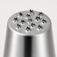 304 Edelstahl Spritztüllen-Set für Kuchendekoration Nahtlose Mont Blanc Gebäckdüsen für Sahne und Zuckerguss