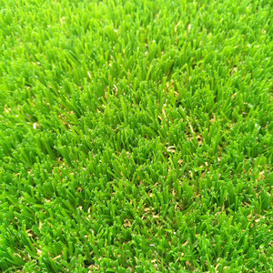 <span class=keywords><strong>Gazon</strong></span> artificiel en polyéthylène de 20 mm, résistant, pour aménagement paysager, jardin, balcon, aire de jeux - Product Image 5