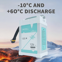 Batterie de drone intelligente 12S 22000mah 44.4V, batterie au lithium rechargeable pour accessoires de drone agricole 20L