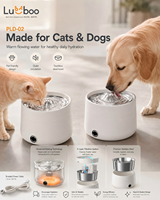 Fontaine à eau chauffante pour animaux de compagnie en acier inoxydable