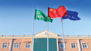 ชุดเครื่องมือผ่าตัดกระดูกสันหลังแบบรุกรานต่ำ พร้อมสกรูและร็อด - Product Image 6