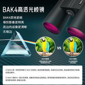 Suncore Binoculars 12x42 High Definition For Natural Observation With Image Stabilization - Product Image 4