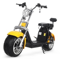 EEC COC certifié 60V 20ah Double batterie Citycoco 1500W 2000W 3000w gros pneu scooter électrique véhicule à deux roues