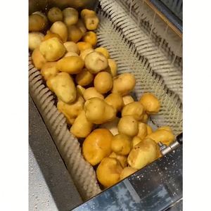 Máy rửa rau quả tự động thương mại cho khoai tây gừng khoai lang củ sen làm sạch và lột - Product Image 6