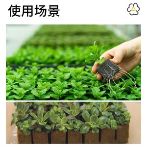 Floral Foam Seedling Blocks Square Caramel Color Starch Material For Planting <b>Vegetables</b> Succulents <b>Potted</b> Plants - Product Image 3